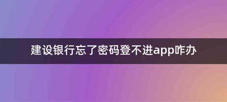 建设银行忘了密码登不进app咋办