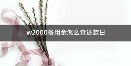 w2000备用金怎么查还款日
