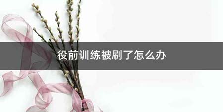 役前训练被刷了怎么办
