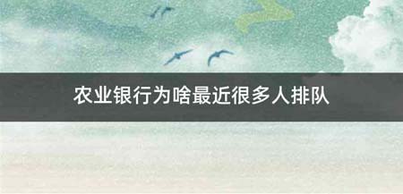 农业银行为啥最近很多人排队