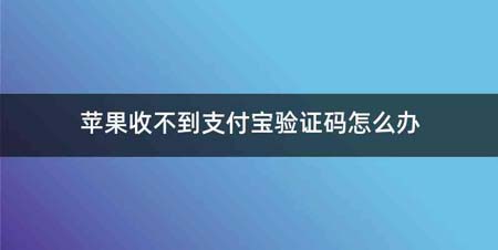 苹果收不到支付宝验证码怎么办