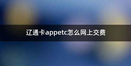 辽通卡appetc怎么网上交费