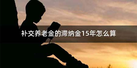 补交养老金的滞纳金15年怎么算