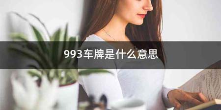 993车牌是什么意思