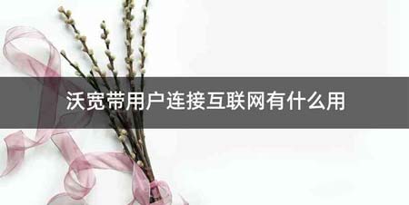 沃宽带用户连接互联网有什么用