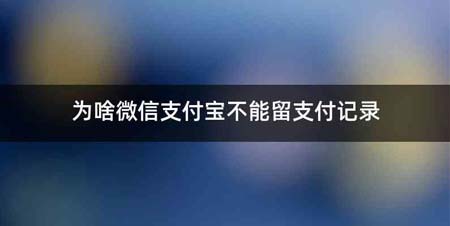 为啥微信支付宝不能留支付记录