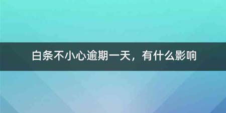 白条不小心逾期一天,有什么影响
