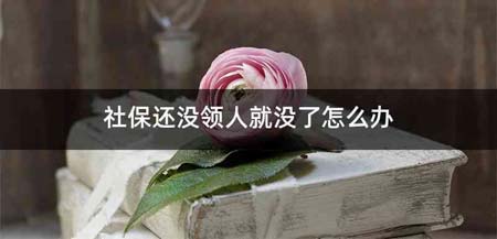 社保还没领人就没了怎么办