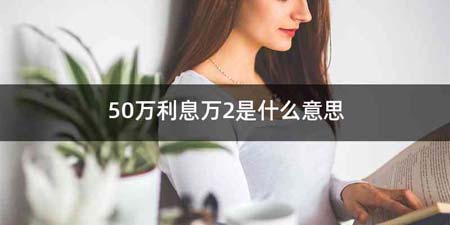 50万利息万2是什么意思