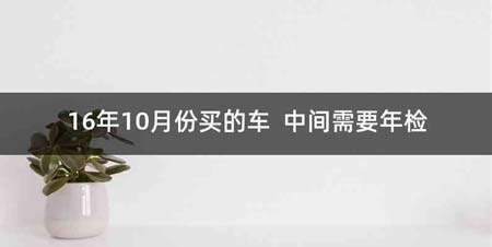 16年10月份买的车 中间需要年检