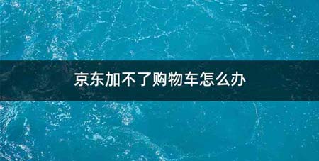 京东加不了购物车怎么办