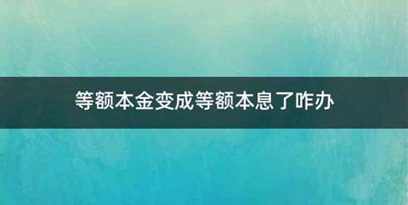 等额本金变成等额本息了咋办