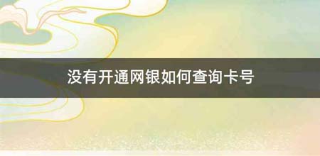 没有开通网银如何查询卡