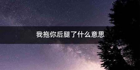 我拖你后腿了什么意思