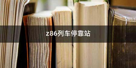 z86列车停靠站