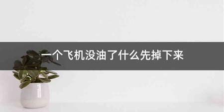 一个飞机没油了什么先掉
