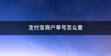 支付宝商户单号怎么查