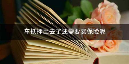 车抵押出去了还需要买保险呢