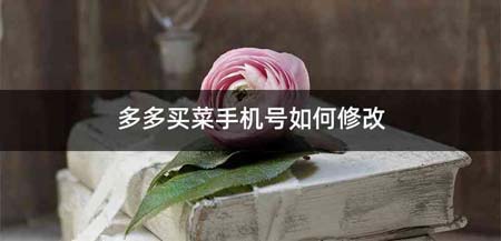 多多买菜手机号如何修改