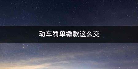 动车罚单缴款这么交