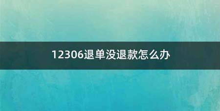 12306退单没退款怎么办