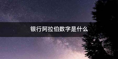 银行阿拉伯数字是什么