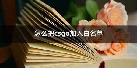 怎么把csgo加入白名单