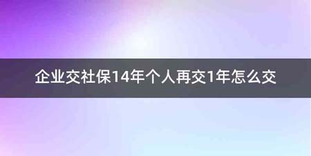 企业交社保14年个人再交1年怎么交