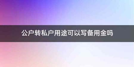 公户转私户用途可以写备用金吗