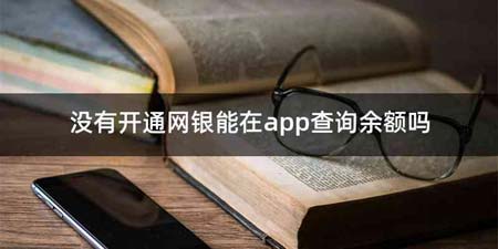 没有开通网银能在app查询余额吗