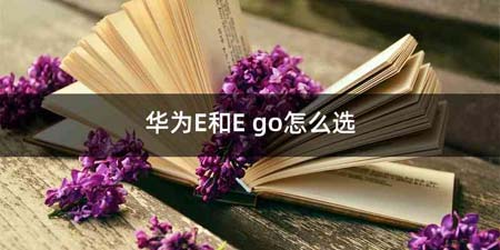 华为E和E go怎么选