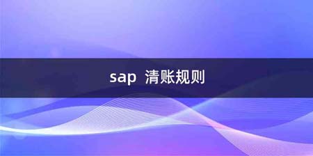 sap 清账规则