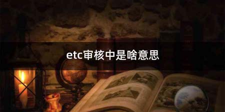 etc审核中是啥意思