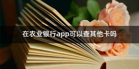 在农业银行app可以查其他卡吗