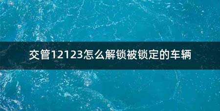 交管12123怎么解锁被锁定的车辆