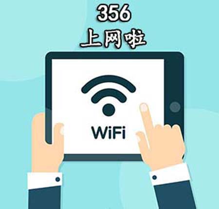 356数字是表示什么意思网