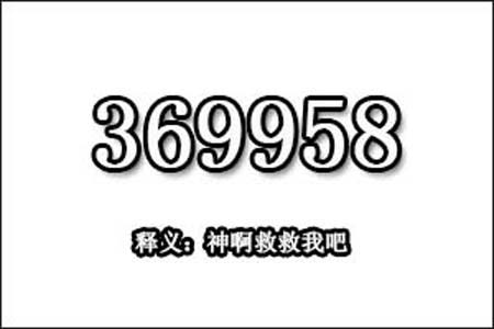 369958数字是表示什么意思网络用语