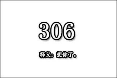 306数字是表示什么意思网络用语