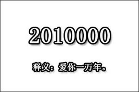 2010000数字是表示什么意思网络用语