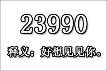 23990数字是表示什么意思网络用语