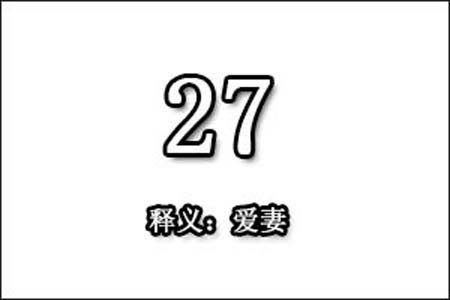27数字是表示什么意思网络用语