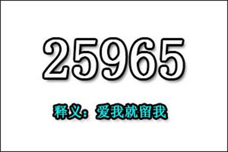 25965数字是表示什么意思网络用语