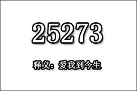 25273数字是表示什么意思网络用语
