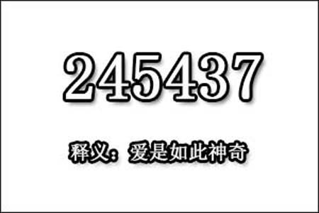 245437数字是表示什么意思网络用语