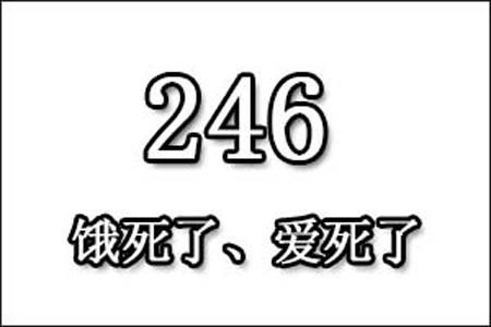 246数字是表示什么意思网络用语