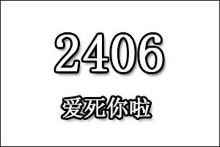 2406数字是表示什么意思网络用语