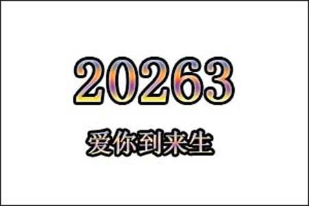 20263数字是表示什么意思网络用语