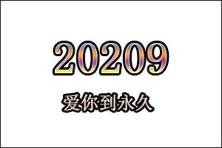 20209数字是表示什么意思网络用语