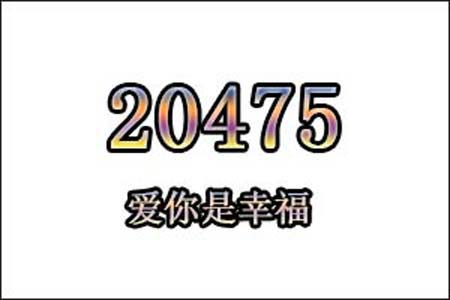 20475数字是表示什么意思网络用语