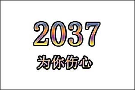 2037数字是表示什么意思网络用语